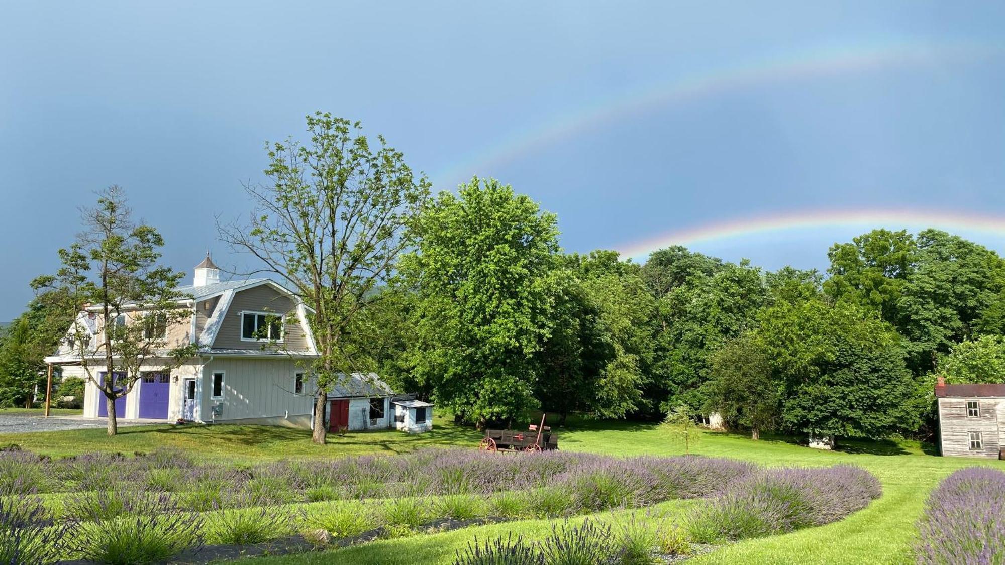 La Soledad Lavender Farm And Guesthouse Harpers Ferry Exterior foto