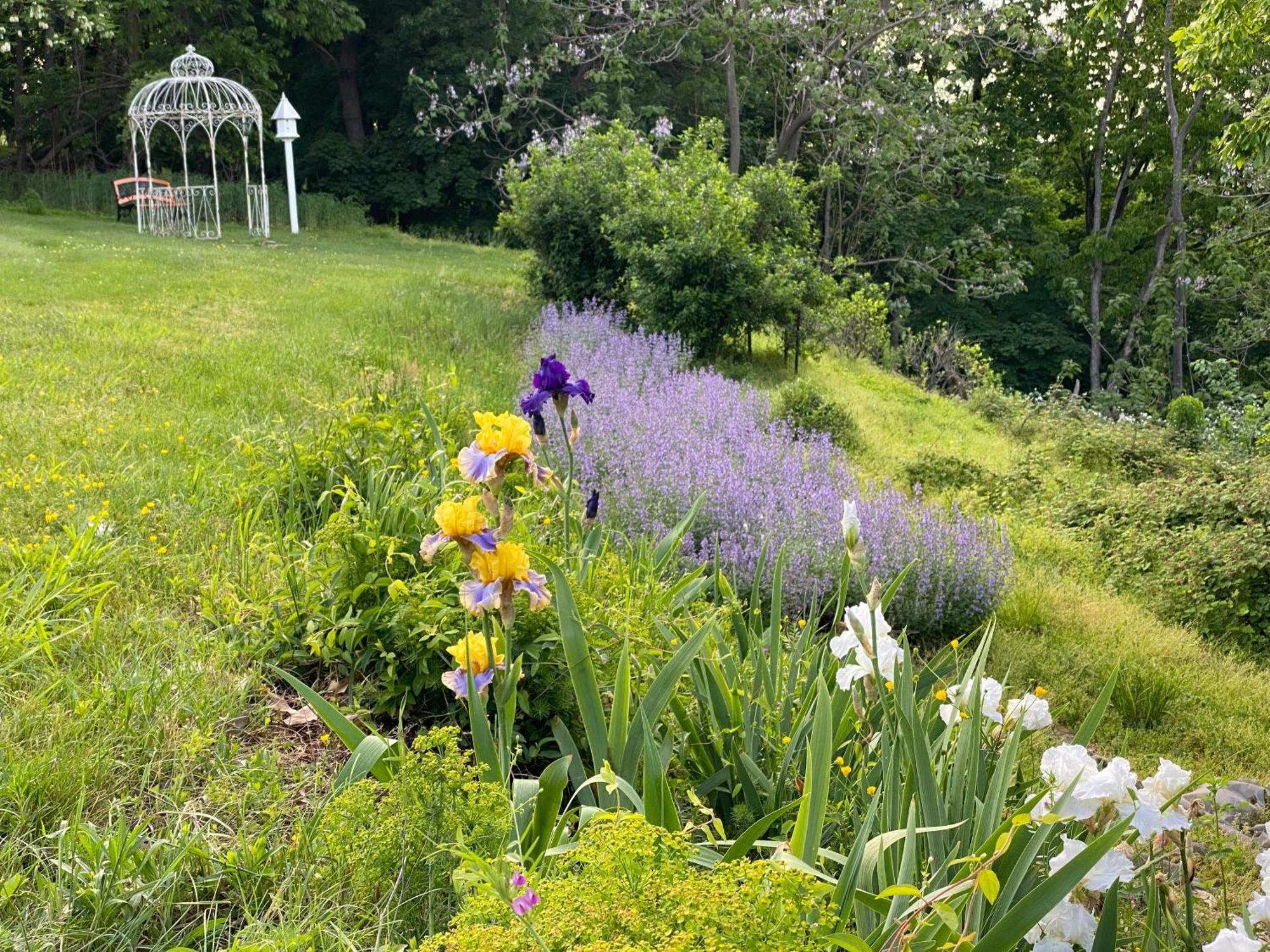 La Soledad Lavender Farm And Guesthouse Harpers Ferry Exterior foto