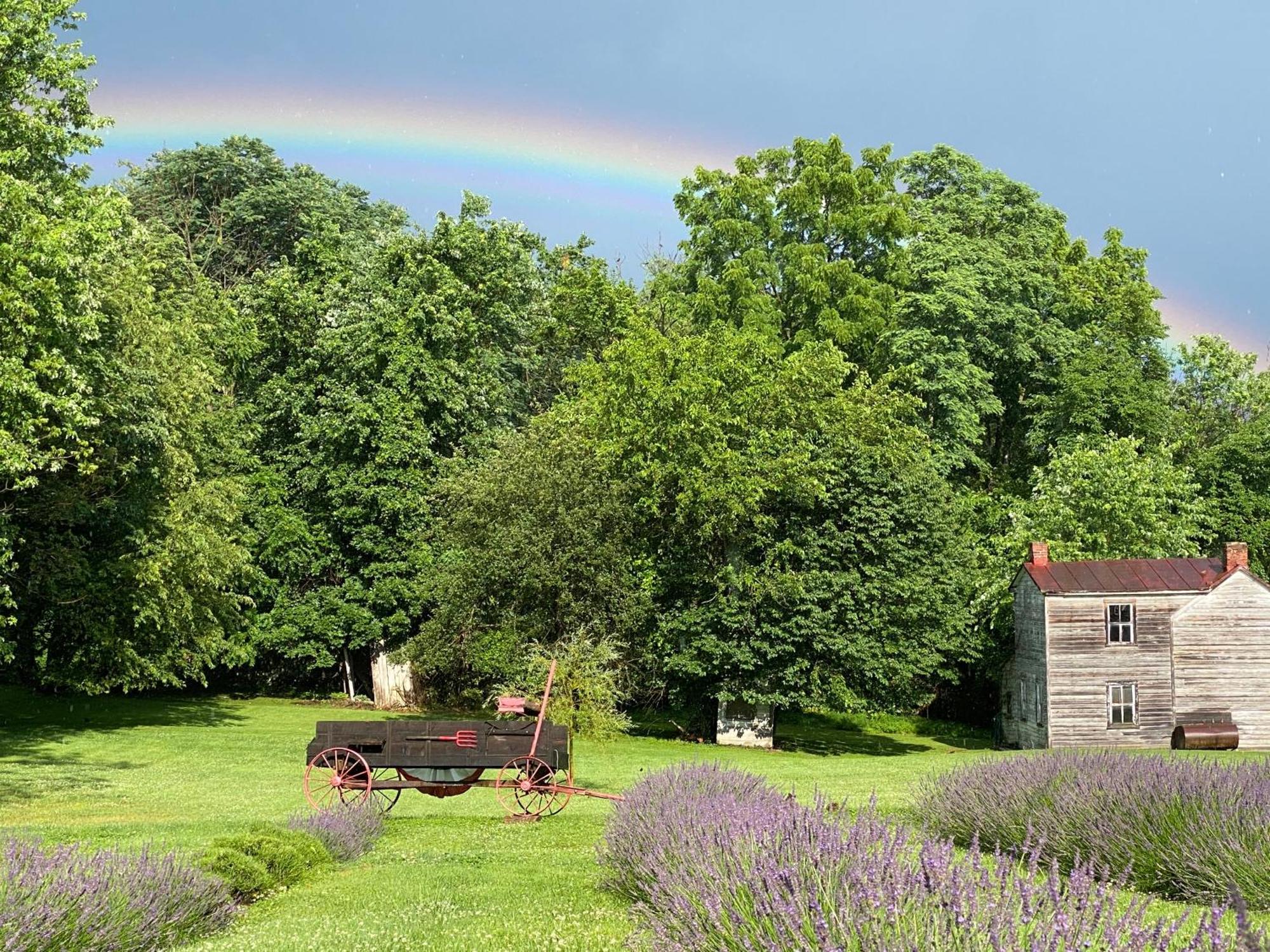 La Soledad Lavender Farm And Guesthouse Harpers Ferry Exterior foto